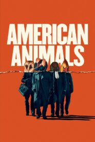 Đồ Quỷ Mỹ – American Animals