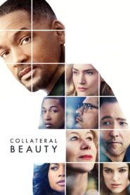 Vẻ đẹp cuộc sống – Collateral Beauty