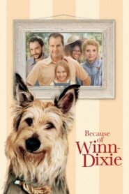 Chú Chó Bảo Vệ – Because of Winn-Dixie