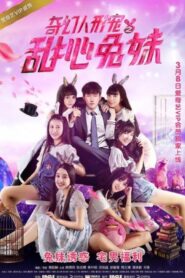 Sáu Nàng Thỏ Xinh Đẹp – Sweet Bunny Girls Of Petman