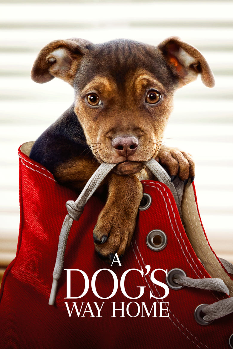 Đường Về Nhà Của Cún Con – A Dog’s Way Home